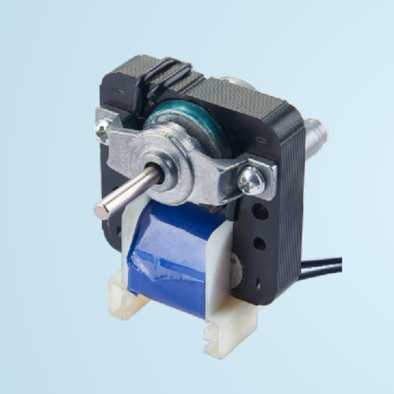 Asynchronous Shaded Pole Motor